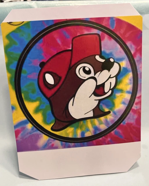 HOT WHEELS RENAULT ESPACE F As Buc Ees Its A Custom Real Riders Added PicClick CA