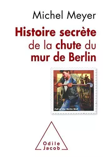 Histoire Secr Te De La Chute Du Mur De Berlin Ne Michel Meyer Eur
