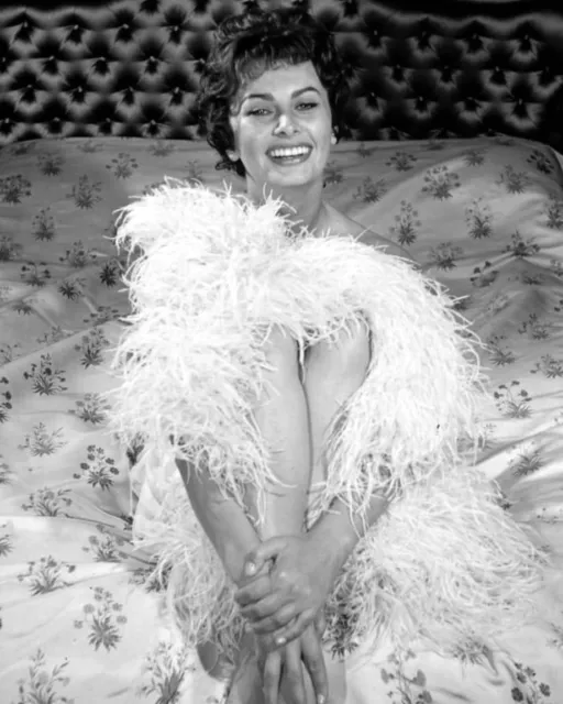 Sophia Loren Legendary Actress And Sex Symbol X Publicity Photo