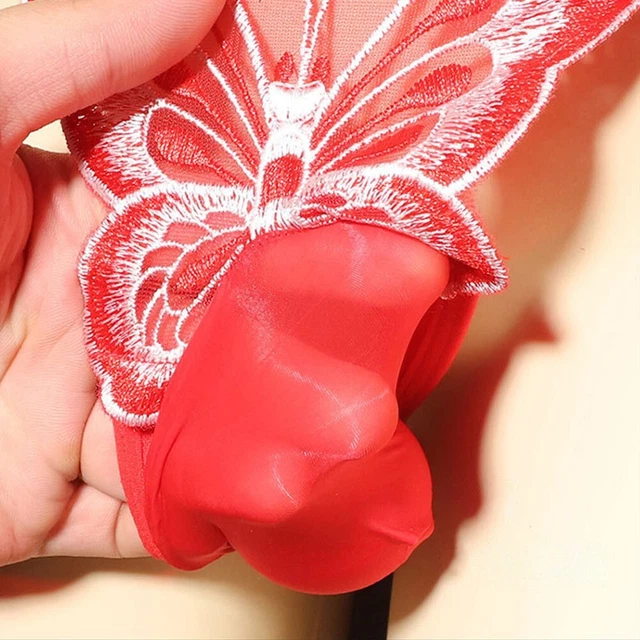 HOMMES SEXY CULOTTE Lingerie Sissy Dentelle Transparent Slip