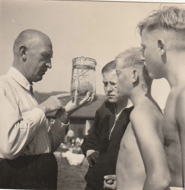 VINTAGE FOTO HÜBSCHE Jungen Knabe Jungmann in Badehose nude German Boy