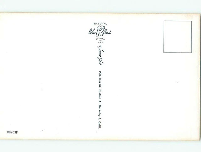 PRE RISQUE COMIC BIKINI GIRL TOUCHES SUNBURN ON BACK Clearance