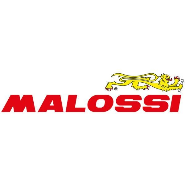 MALOSSI MOPED RACING MHR Naked Exhaust System EUR PicClick IT