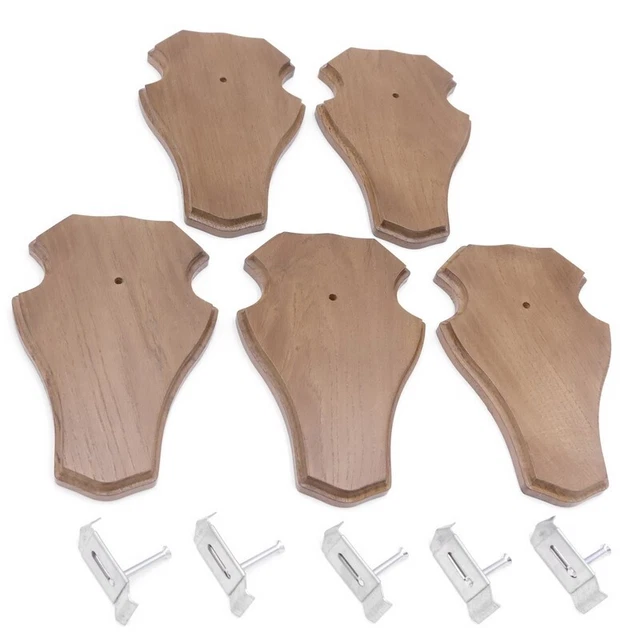 5 Pieza Ciervo Escudo de Trofeo Braun Af 21 X 13CM Con Ganchos de Cornamenta 3