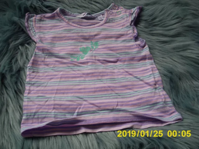 schönes Kurzarmshirt-Gr. 68-MEXX-lila-rosa-grün-gestreift-Flügelärmel