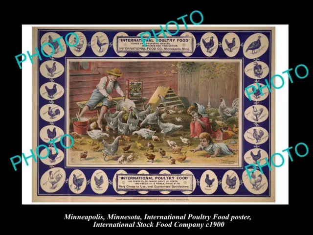 OLD 8x6 PHOTO OF MINNEAPOLIS STOCK Co POSTER CHICKEN & POULTRY FOOD c1900