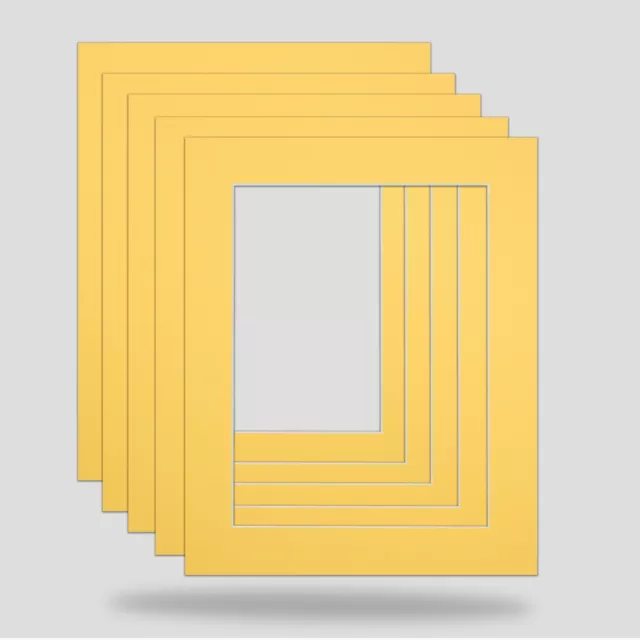 10x8 FOR 8x6 INCH PHOTO MOUNT PACK OF 5 8x10 YELLOW PRIMROSE PICTURE FRAME