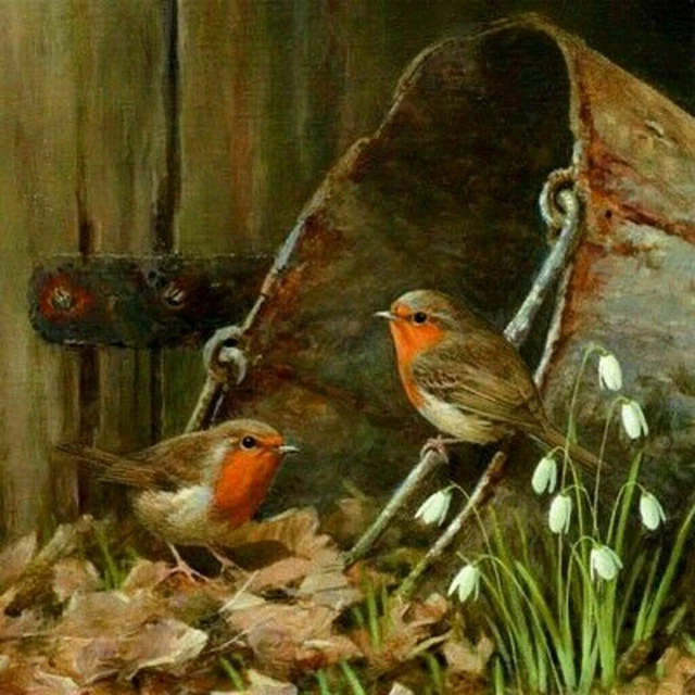 5D DIY Diamond Painting Art Robin Bird Embroidery Full Drill Crafts Kits Decor