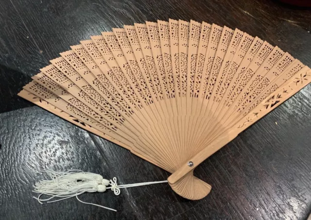 Vintage ( Antique?) Wooden Brise Fan With Original Glass Case