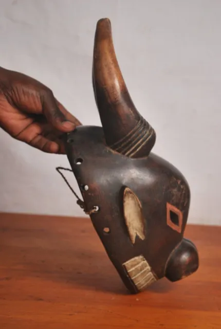 African Tribal Art,amazing Luba  animal  mask from Katanga region  DRC . 5