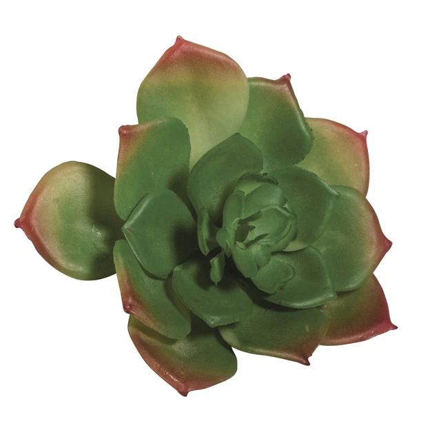 Pflanze Grasse Sukkulenten Kunststein Echeveria 8,5 X 3,5 CM
