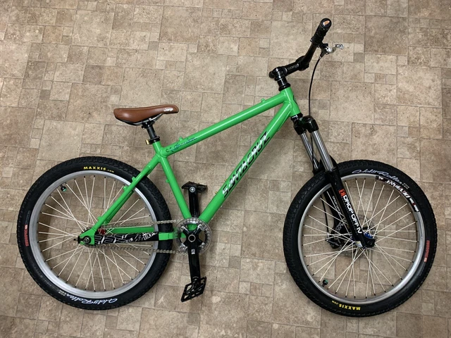 Santa cruz top chameleon 2007