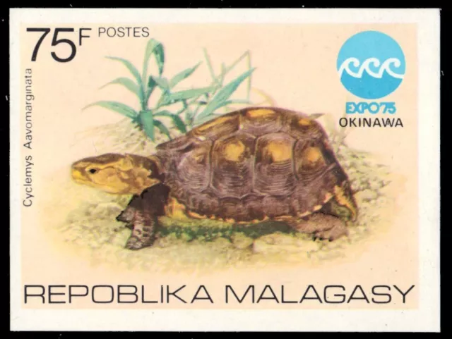 MADAGASCAR 535i - Yellow-margined Box Turtle "Cuora flavomarginata" (pb81598)