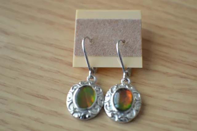 Canadian Ammolite Leverback Earrings in Platinum over Fine Sterling Silver 9x7mm