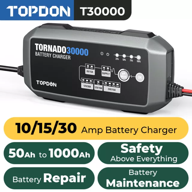 10 15 30A Battery Charger TOPDON T30000 6V/12V/24V Car Truck Wheeled Automotive