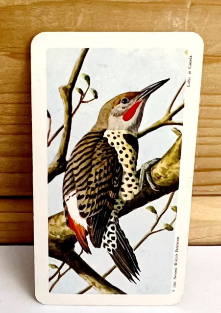 Vintage Songbird Trading Card Red Shaft Flicker 1962 S9N3 Brooke Bond Tea Co