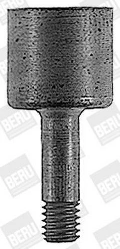 BorgWarner (BERU) Connettore femmina Impianto accensione RHB003 Ottone