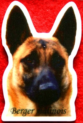 Berger Berger Belge Malinois Magnet Aimant Chien Ardoise Magnétique Frigo Marqueur B2 