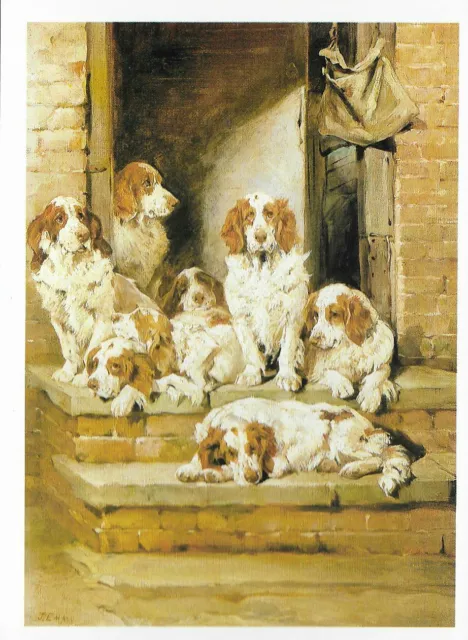 Clumber Spaniels - Color Postcard Dog Art Print - Matted