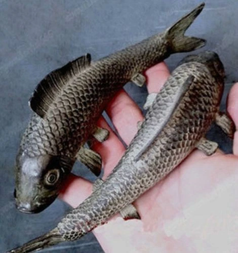 collectable Old Tibet copper Bronze lucky Wealth fish statues 2pc set fishs