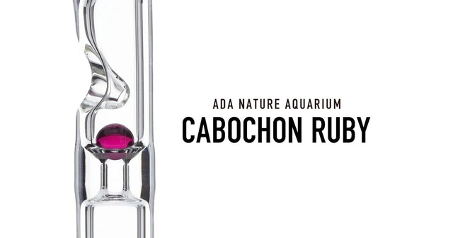 ADA Aqua Design Amano Cabochon Ruby Nature Aquarium Check Valve Japan NEW