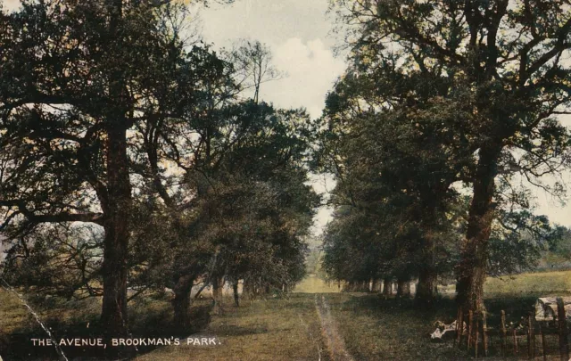 BROOKMANS PARK - The Avenue (Used to go to Gobions from Folly Arch North Mymms)