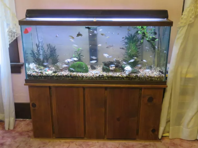 55 Gallon fish tank, Wooden stand and accessories.