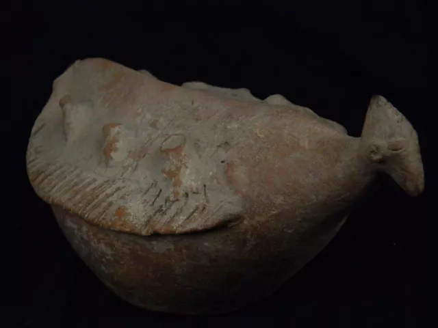 Ancient Teracotta Large Size Bird Bactrian 300 BC #TR5828