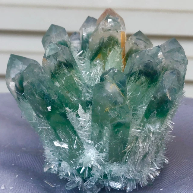 1.13LB New Find Green Phantom Quartz Crystal Cluster Mineral Specimen Healing 6