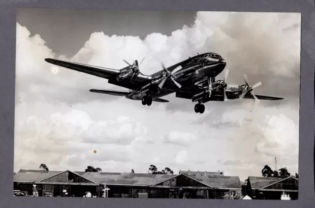 Handley Page Hermes Large Vintage Original Press Photo