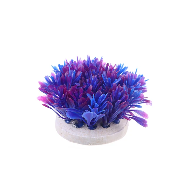 Plantas de acuario decoraciones de acuario