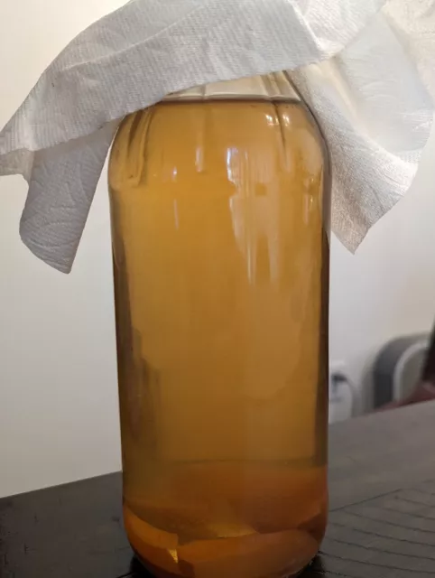 Vinegar Eel Starter Culture - Easy Live Food for Fry, Nano Fish, Guppy, Betta 2