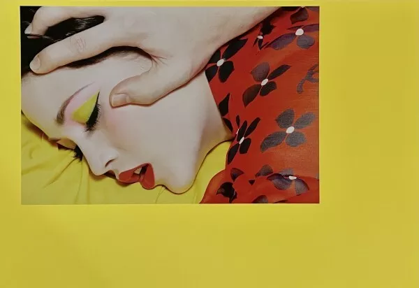 MILES ALDRIDGE - THE ECSTASY #2 2013  Unsigned Limited Edition 180 EXC