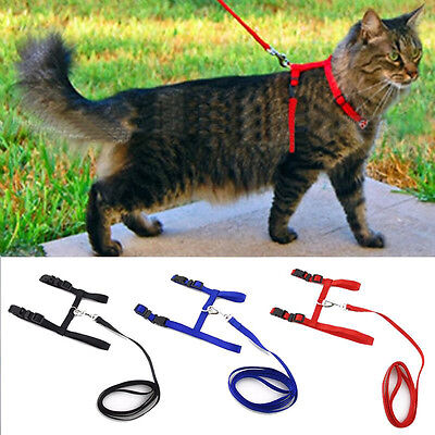 Nylon Pet Cat Kitten Adjustable Harness Lead Leash Collar Belt Safety Rope