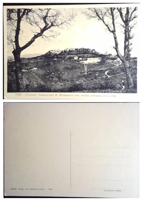 Cartolina Todi Panorama