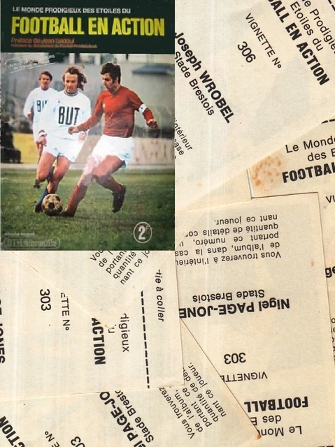 Carte Panini VALENCIENNES FC - Ligue 1 2009 - À Choisir - Très Bon état