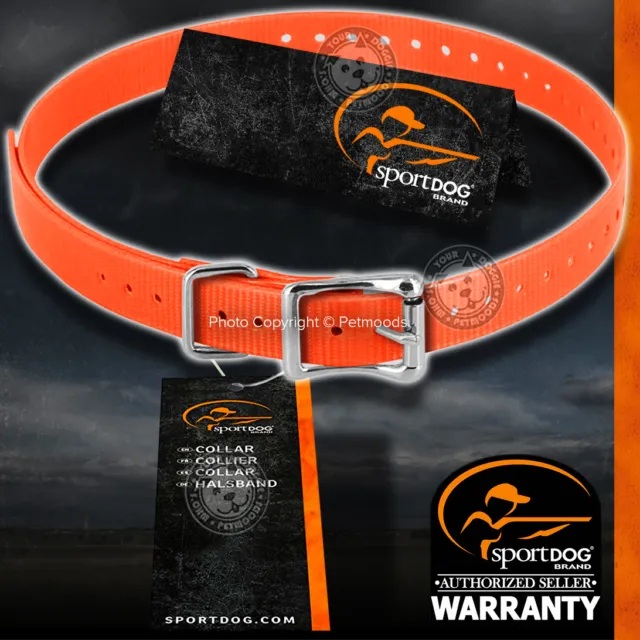SportDOG SAC00-10811 Genuine 1-inch Replacement Dog Collar Strap Orange Color
