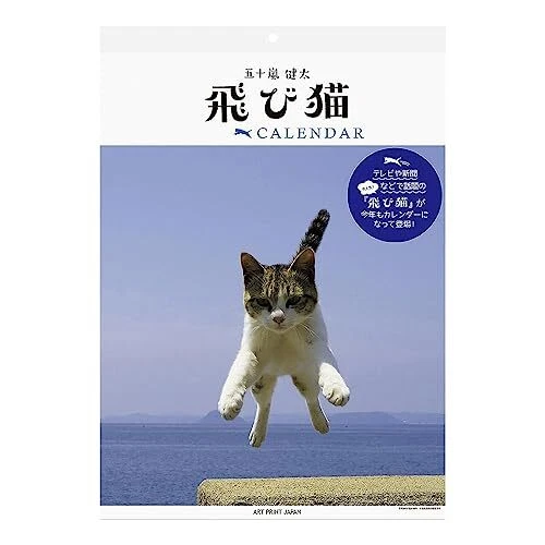 2024 Flying Cat Calendar No.047