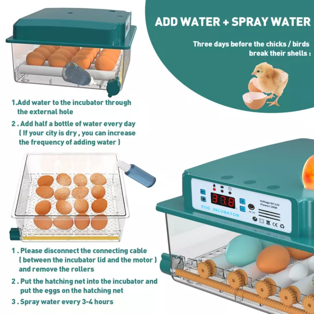 Incubator Egg Hatcher Automatic Turning Chicken 16/36 Eggs Brooding Machine Kit 2