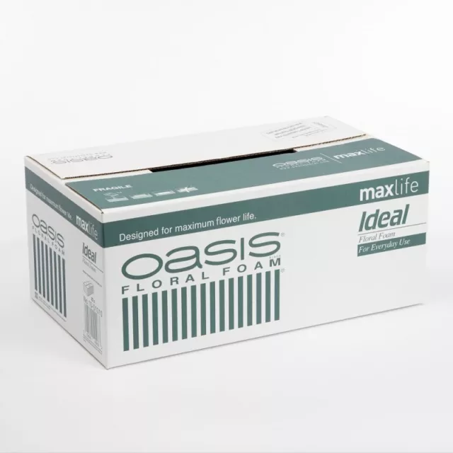 Oasis Ideal Maxlife Mojado Floral Espuma En Cantidades De 2,5, 10 O 20 Ladrillos