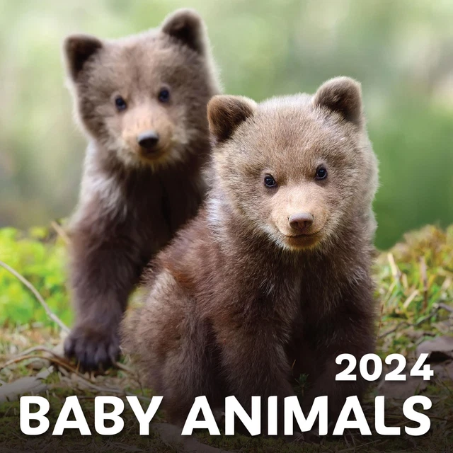 HANGING WALL CALENDAR, Year 2024 Monthly Calendar, Baby Animals 11x17