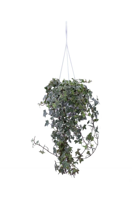 Best Artificial (TM) 180 cm 1,8 m Uva Ivy Ghirlanda Hanging Fruit Vine String Plant Green