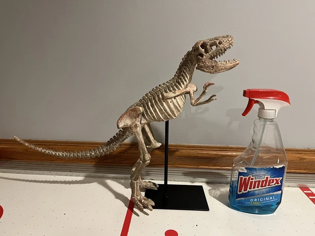Zentique Polyresin Cast Distressed T-Rex Skeleton Figure