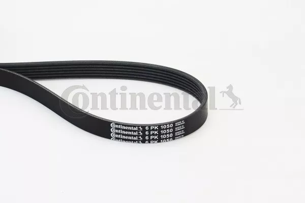 6PK1050 CONTINENTAL CTAM Cinghia Poly-V per AUDI,CITROËN,FIAT,IVECO,LEXUS,OPEL,P