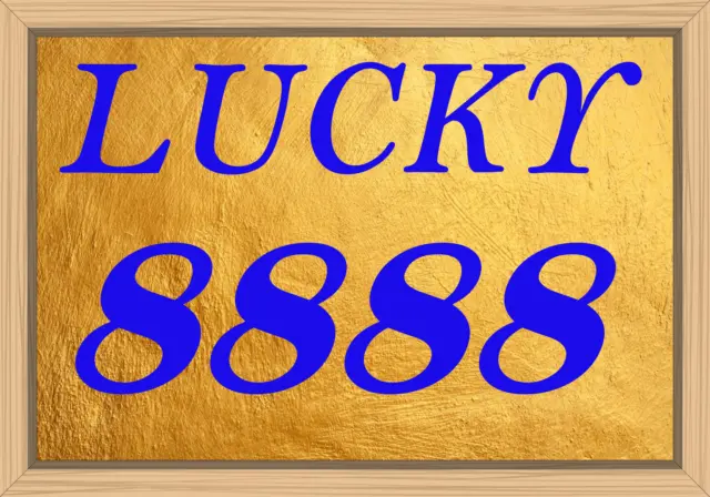 GOLD VIP LUCKY 8s UK UNIQUE MOBILE PHONE NUMBER SIM CARD BUSINESS 07543*33 888