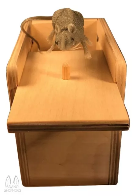 Mouse & Spider Surprise Box - 2 Practical Joke Fun Scare Prank Gag Gifts  USA 3