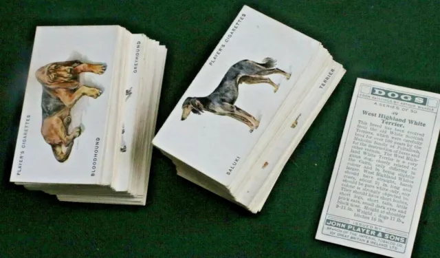 DOGS, FULL LENGTH by Wardle, 1931, PLAYERS CIGARETTE CARDS, PICK YOUR CARD