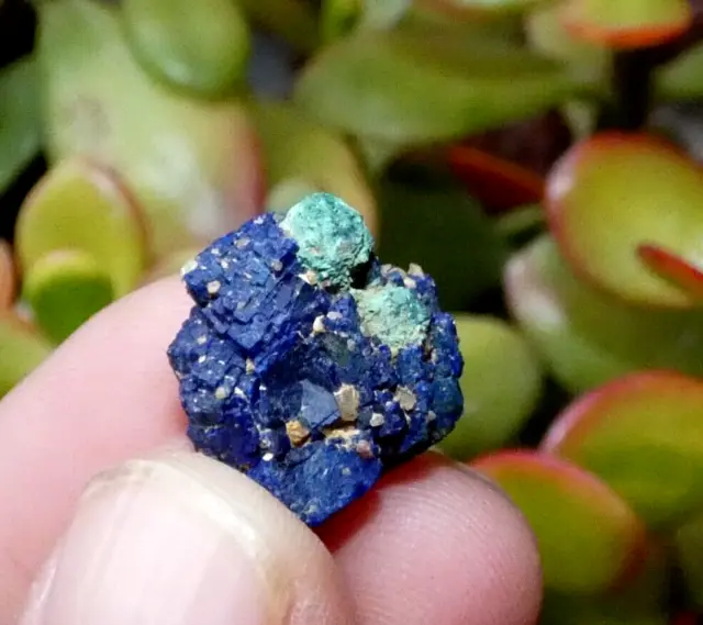 Cuprite Chessylite Azurite Chessy Les Mines - minéraux collection pierre rare