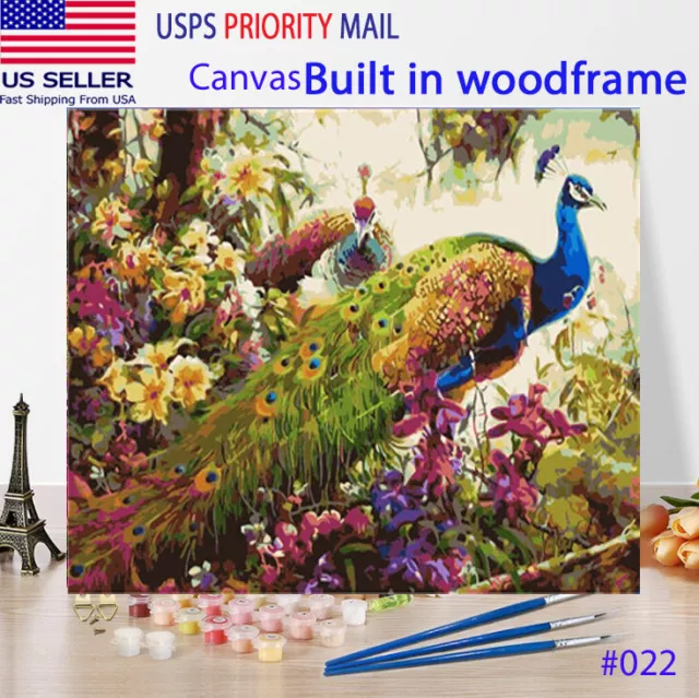 Wooden Framed DIY Oil Painting Paint by Numbers Kit for Adults kids kitten  cat