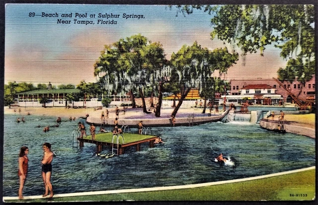 Swimmers at Beach, Swimming Pool, Sulphur Springs, Tampa, FL. 1930s Linen.